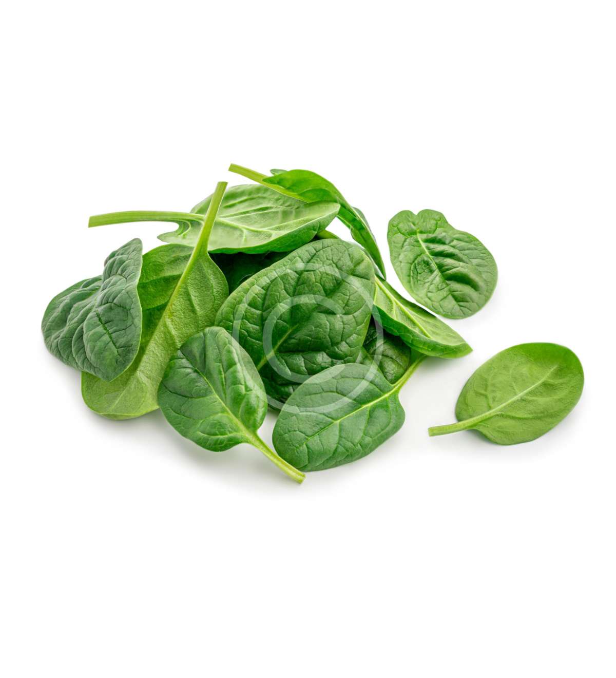 product-image3-copyright